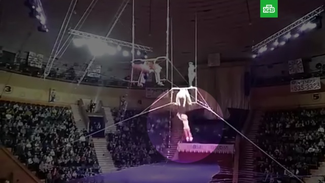 Порно гимнастки видео смотреть онлайн