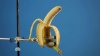 радиацию можно найти в бананах