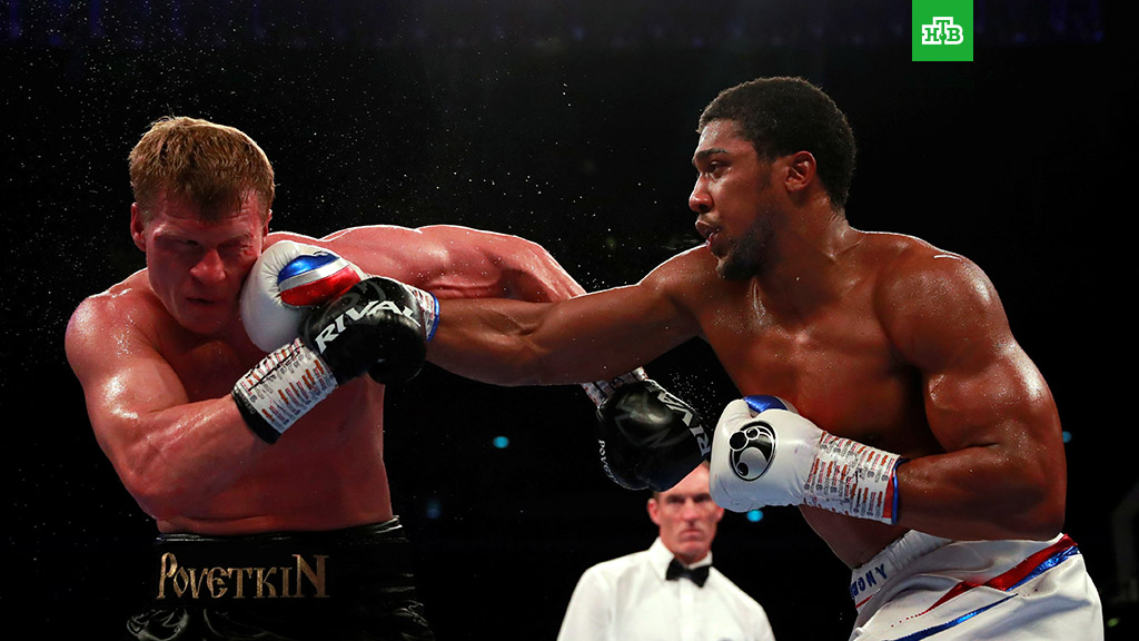 Джошуа назвал нокаутированного Поветкина топовым