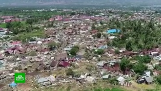 Посольство: россияне не пострадали при землетрясении и цунами в Индонезии Посольство: россияне не пострадали при землетрясении и цунами в Индонезии