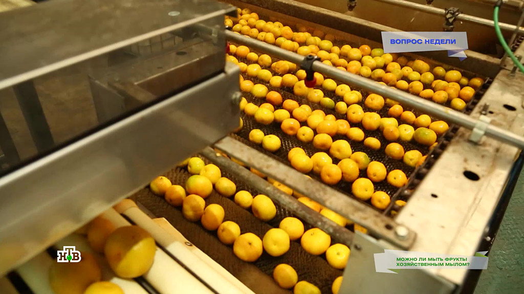 можно ли мыть помидоры с мылом. Смотреть фото можно ли мыть помидоры с мылом. Смотреть картинку можно ли мыть помидоры с мылом. Картинка про можно ли мыть помидоры с мылом. Фото можно ли мыть помидоры с мылом можно ли мыть помидоры с мылом. Смотреть фото можно ли мыть помидоры с мылом. Смотреть картинку можно ли мыть помидоры с мылом. Картинка про можно ли мыть помидоры с мылом. Фото можно ли мыть помидоры с мылом