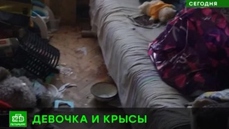 В Петербурге соцработники забрали восьмилетнюю девочку из квартиры-помойки с сотнями крыс