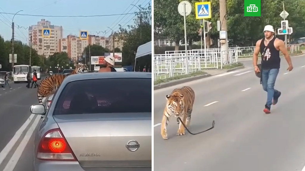 сегодня подумал член в маленькой пизде фото абсолютно правы. этом