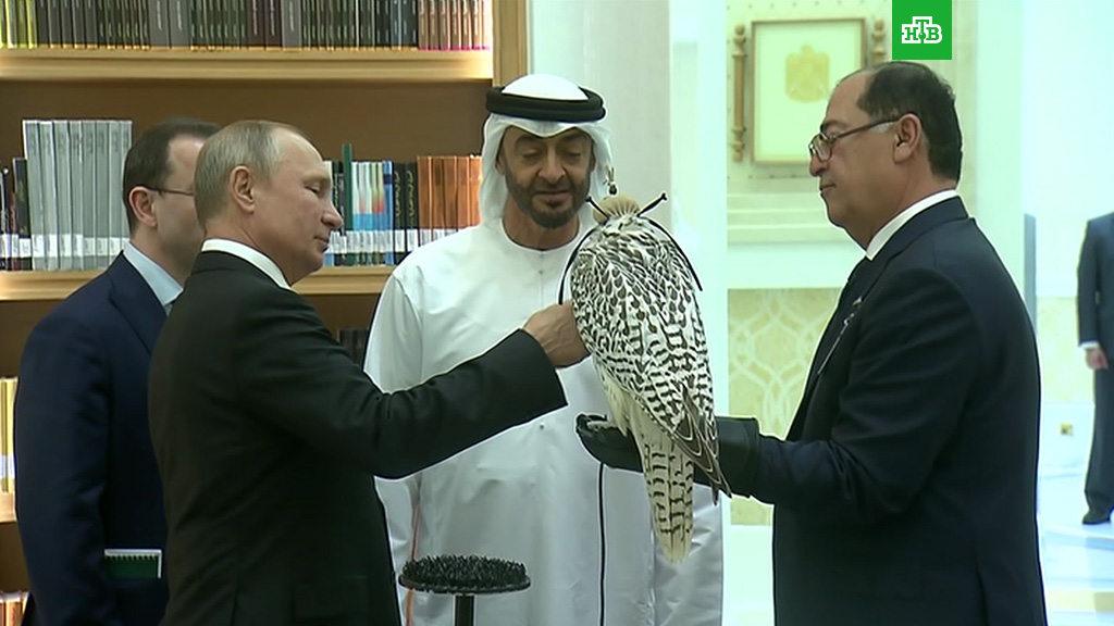 Картинки по запросу путин подарил сокола