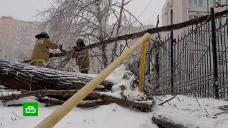 Энергетический коллапс в Приморье: восстановить электроснабжение обещают к 25 ноября