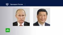 Путин Смотреть Новый Год Путин Смотреть Новый Год