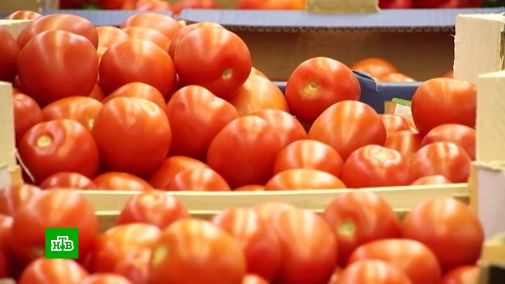 Ввозимые в Россию помидоры и перец будут проверять на тобамовирус