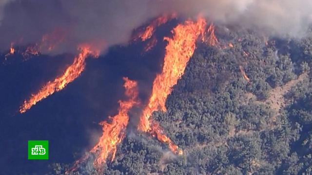Калифорния в огне: в штате безрезультатно борются с лесными пожарами.Испания, США, Япония, жара, лесные пожары, погода.НТВ.Ru: новости, видео, программы телеканала НТВ