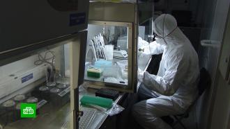 ��� ������ ������������� �&nbsp;������������ ���������� ������� �� <nobr>COVID-19</nobr>