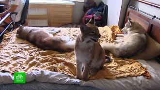 ������� �&nbsp;��������: ������������� ������ ���� ����� �&nbsp;�����