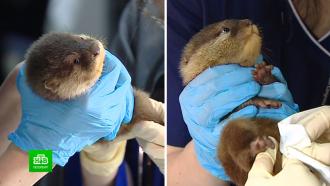 ������� �� ����������� �������� ��������