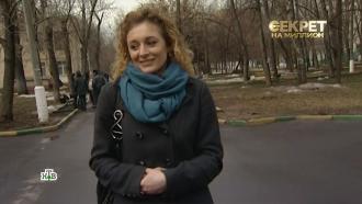 Что случилось с джигурдой сейчас. Смотреть фото Что случилось с джигурдой сейчас. Смотреть картинку Что случилось с джигурдой сейчас. Картинка про Что случилось с джигурдой сейчас. Фото Что случилось с джигурдой сейчас