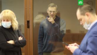 Прокурор попросила суд признать Навального виновным в клевете на фронтовика 