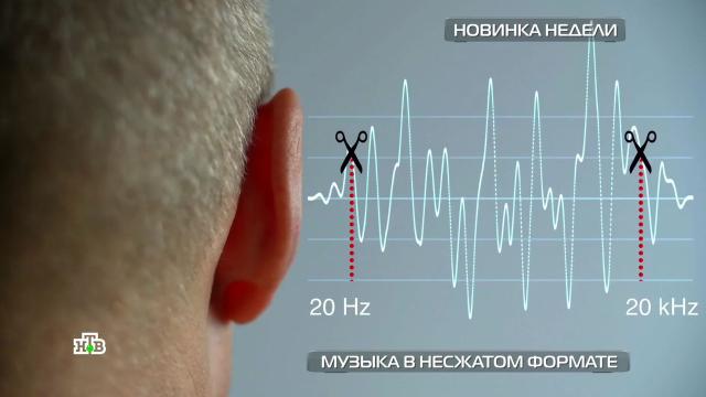 роботизированная приманка для рыбы. Смотреть фото роботизированная приманка для рыбы. Смотреть картинку роботизированная приманка для рыбы. Картинка про роботизированная приманка для рыбы. Фото роботизированная приманка для рыбы роботизированная приманка для рыбы. Смотреть фото роботизированная приманка для рыбы. Смотреть картинку роботизированная приманка для рыбы. Картинка про роботизированная приманка для рыбы. Фото роботизированная приманка для рыбы