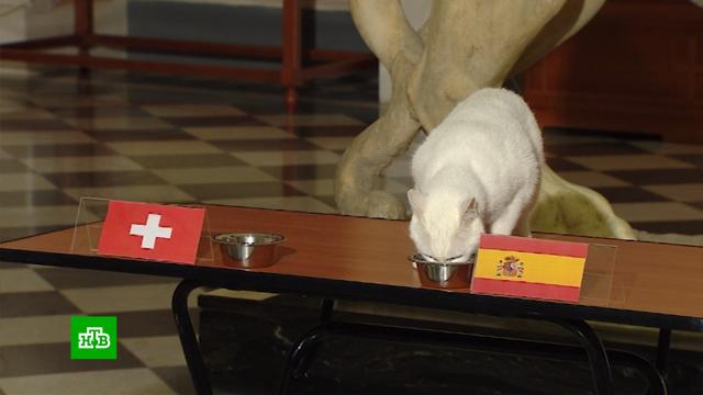 какой счет испания швейцария сегодня