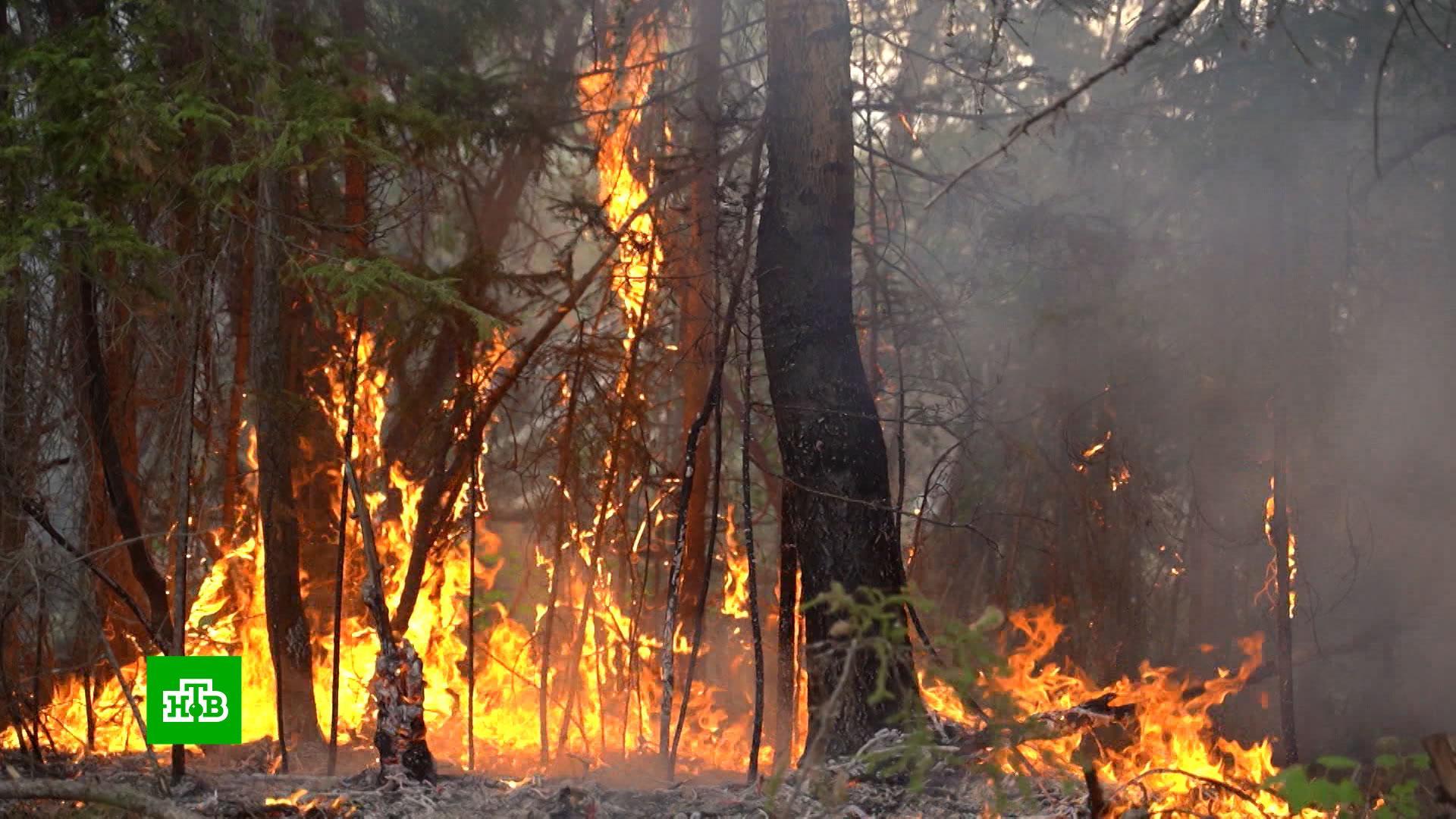 Пожар в д лесная. Лесные пожары в Якутии 2021. Пожары в Якутии лето 2021. Якутия пожар лес. Якутск пожары 2021.