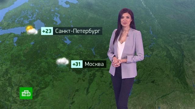 Утренний прогноз погоды на 19 июля.погода, прогноз погоды.НТВ.Ru: новости, видео, программы телеканала НТВ