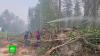 Пожарных из Петербурга отправили тушить лесные пожары в Карелии