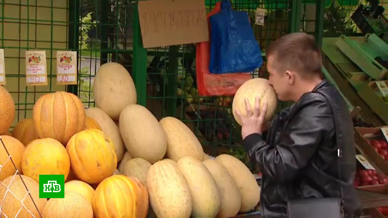 Бахчевые развалы в москве