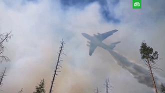 Шесть вертолетов и восемь самолетов тушат пожары в заповеднике в Мордовии