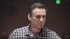 МИД РФ назвал дело Навального спланированной провокацией МИД РФ, Навальный, оппозиция.НТВ.Ru: новости, видео, программы телеканала НТВ