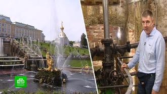 Знаменитые фонтаны Петергофа празднуют 300-летие