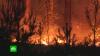 Огонь в Приволжье: лесной пожар в Марий Эл угрожает населенным пунктам