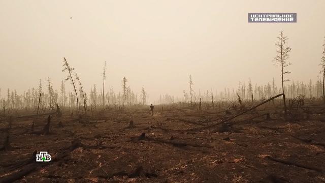 что горит в самарской области. Смотреть фото что горит в самарской области. Смотреть картинку что горит в самарской области. Картинка про что горит в самарской области. Фото что горит в самарской области