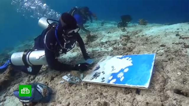 Фестиваль в черноголовке моторы войны