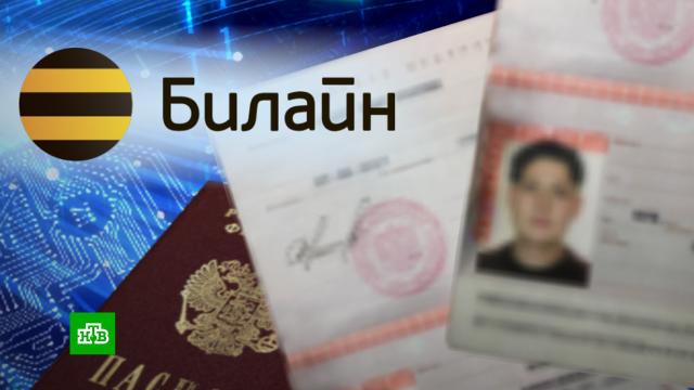 блинчики при похудении можно или нет. Смотреть фото блинчики при похудении можно или нет. Смотреть картинку блинчики при похудении можно или нет. Картинка про блинчики при похудении можно или нет. Фото блинчики при похудении можно или нет блинчики при похудении можно или нет. Смотреть фото блинчики при похудении можно или нет. Смотреть картинку блинчики при похудении можно или нет. Картинка про блинчики при похудении можно или нет. Фото блинчики при похудении можно или нет