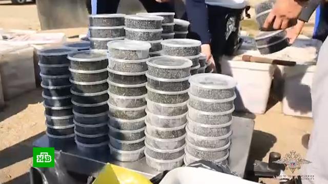 блинчики при похудении можно или нет. Смотреть фото блинчики при похудении можно или нет. Смотреть картинку блинчики при похудении можно или нет. Картинка про блинчики при похудении можно или нет. Фото блинчики при похудении можно или нет блинчики при похудении можно или нет. Смотреть фото блинчики при похудении можно или нет. Смотреть картинку блинчики при похудении можно или нет. Картинка про блинчики при похудении можно или нет. Фото блинчики при похудении можно или нет