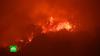 Пожар может уничтожить заповедник «Секвойя» в Калифорнии 