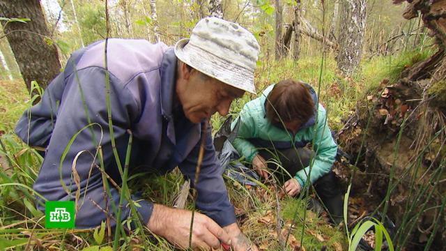 лягушка в банке с огурцами. Смотреть фото лягушка в банке с огурцами. Смотреть картинку лягушка в банке с огурцами. Картинка про лягушка в банке с огурцами. Фото лягушка в банке с огурцами лягушка в банке с огурцами. Смотреть фото лягушка в банке с огурцами. Смотреть картинку лягушка в банке с огурцами. Картинка про лягушка в банке с огурцами. Фото лягушка в банке с огурцами