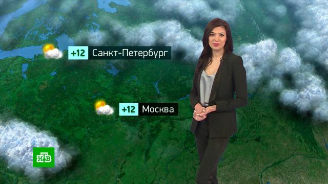 хорошая томатная паста для консервирования. Смотреть фото хорошая томатная паста для консервирования. Смотреть картинку хорошая томатная паста для консервирования. Картинка про хорошая томатная паста для консервирования. Фото хорошая томатная паста для консервирования