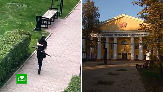 Чем наградили полицейских в перми. Смотреть фото Чем наградили полицейских в перми. Смотреть картинку Чем наградили полицейских в перми. Картинка про Чем наградили полицейских в перми. Фото Чем наградили полицейских в перми