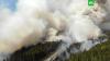 Эксперты назвали лесные пожары в Сибири одной из причин загрязнения Земли