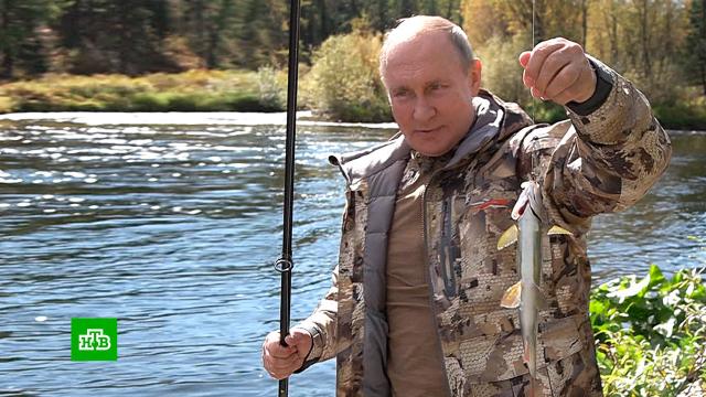 Что случилось с путиным в тайге. Смотреть фото Что случилось с путиным в тайге. Смотреть картинку Что случилось с путиным в тайге. Картинка про Что случилось с путиным в тайге. Фото Что случилось с путиным в тайге