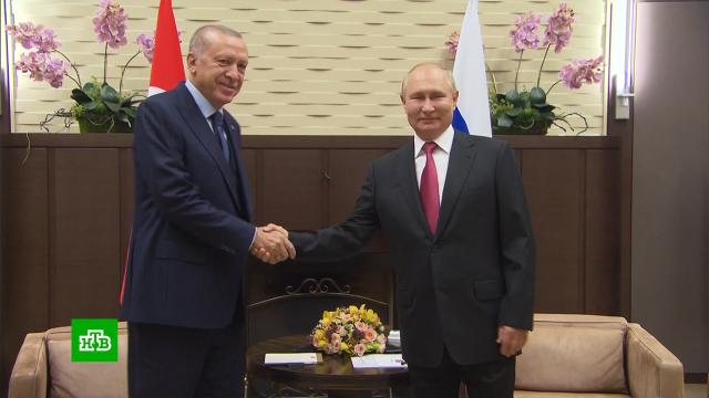 Путин и Эрдоган проводят переговоры в Сочи.Путин, Турция, Эрдоган, переговоры.НТВ.Ru: новости, видео, программы телеканала НТВ