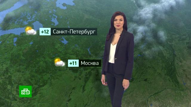 как узнать свой qr код цифрового пропуска. pgd. как узнать свой qr код цифрового пропуска фото. как узнать свой qr код цифрового пропуска-pgd. картинка как узнать свой qr код цифрового пропуска. картинка pgd. В мобильном приложении «Моя Москва» усовершенствовали функцию проверки цифрового пропуска. Если раньше система перенаправляла пользователей в специальный раздел портала mos.ru, то теперь проверить пропуск можно непосредственно в приложении.