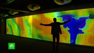 «Цифровые двойники» откроют галерею виртуального искусства в Петербурге