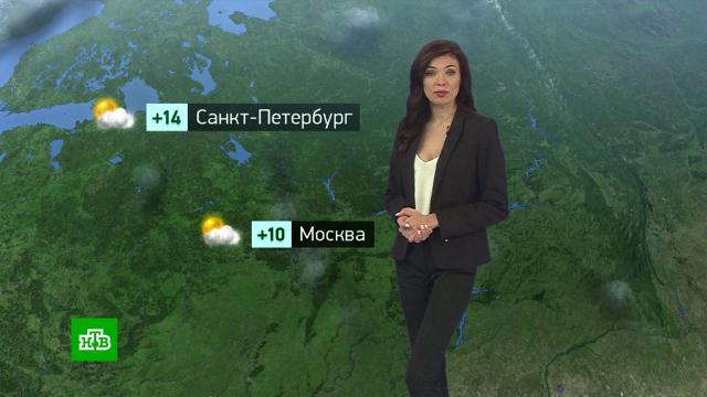 самолет сел на кукурузное поле видео. Смотреть фото самолет сел на кукурузное поле видео. Смотреть картинку самолет сел на кукурузное поле видео. Картинка про самолет сел на кукурузное поле видео. Фото самолет сел на кукурузное поле видео
