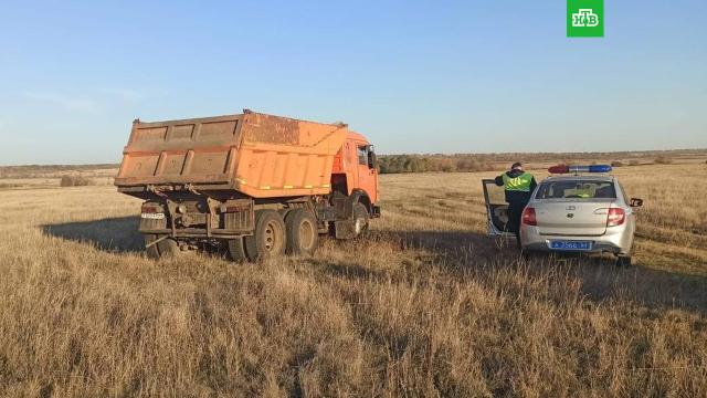 mvd Лягушка которая пищит как котенок