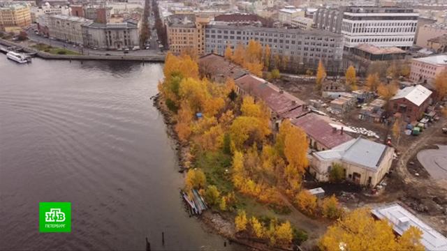 сколько дали блогеру соколовскому