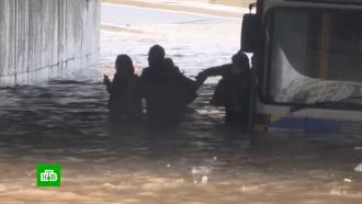 что в этом году затопило. 23 afin main. что в этом году затопило фото. что в этом году затопило-23 afin main. картинка что в этом году затопило. картинка 23 afin main.