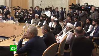 какая сейчас обстановка в афганистане. Смотреть фото какая сейчас обстановка в афганистане. Смотреть картинку какая сейчас обстановка в афганистане. Картинка про какая сейчас обстановка в афганистане. Фото какая сейчас обстановка в афганистане какая сейчас обстановка в афганистане. Смотреть фото какая сейчас обстановка в афганистане. Смотреть картинку какая сейчас обстановка в афганистане. Картинка про какая сейчас обстановка в афганистане. Фото какая сейчас обстановка в афганистане