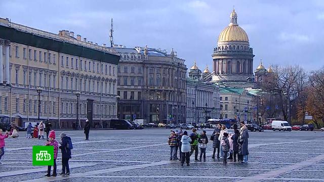 тайная жизнь домашних животных кот и холодильник