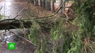 видео что такое ураган. Смотреть фото видео что такое ураган. Смотреть картинку видео что такое ураган. Картинка про видео что такое ураган. Фото видео что такое ураган