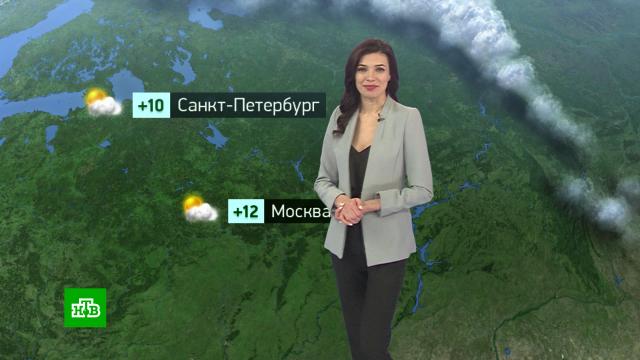 полезно ли полностью разряжать телефон. Смотреть фото полезно ли полностью разряжать телефон. Смотреть картинку полезно ли полностью разряжать телефон. Картинка про полезно ли полностью разряжать телефон. Фото полезно ли полностью разряжать телефон