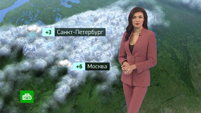 какая артистка скончалась сегодня в москве фото. Смотреть фото какая артистка скончалась сегодня в москве фото. Смотреть картинку какая артистка скончалась сегодня в москве фото. Картинка про какая артистка скончалась сегодня в москве фото. Фото какая артистка скончалась сегодня в москве фото