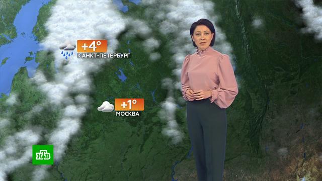 Прогноз погоды на 18 ноября.погода, прогноз погоды.НТВ.Ru: новости, видео, программы телеканала НТВ